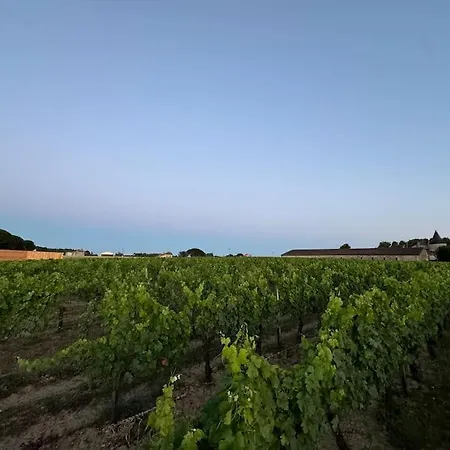 'sable' Vineyard Cabin At Chateau Puynard Appartement